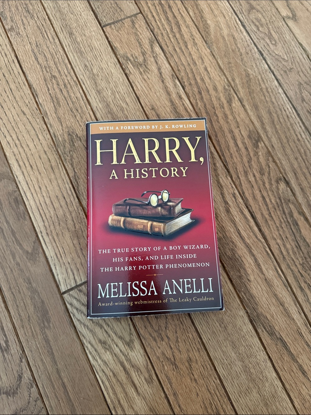 Melissa Anelli 'Harry, A History' Hardcover Book - Red